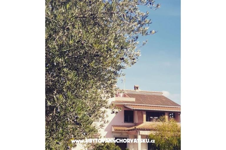 Apartmani DARIO - Sukošan – foto 54