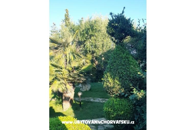Apartmani DARIO - Sukošan – foto 63