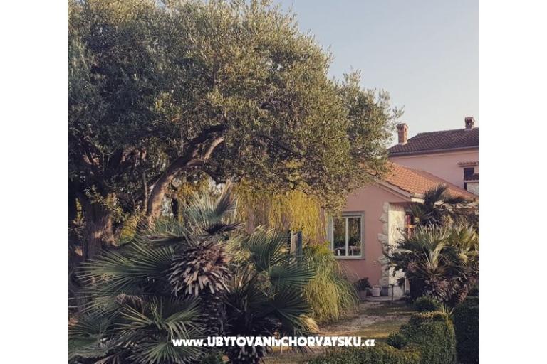 Apartmani DARIO - Sukošan – foto 77