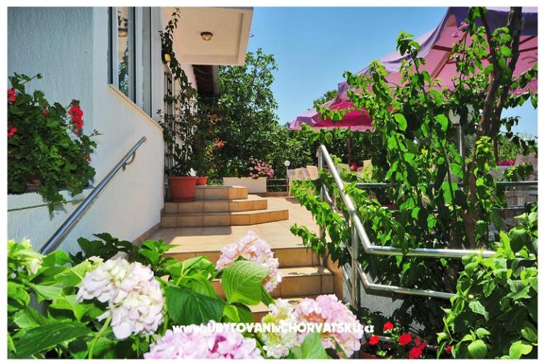 Apartmani Ero  – foto 10