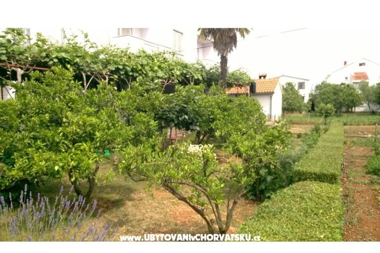 Apartmani Šarić – foto 11