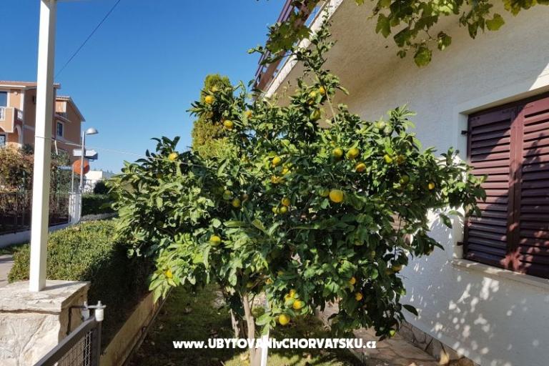 Apartmani Žeger – foto 13