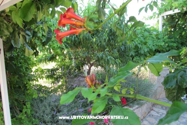 Apartmani Žeger – foto 6