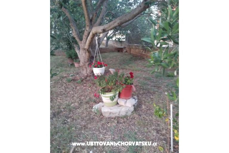 Apartmani Daša – foto 17