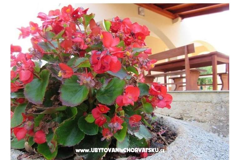 Kuća za odmor Dević – foto 15