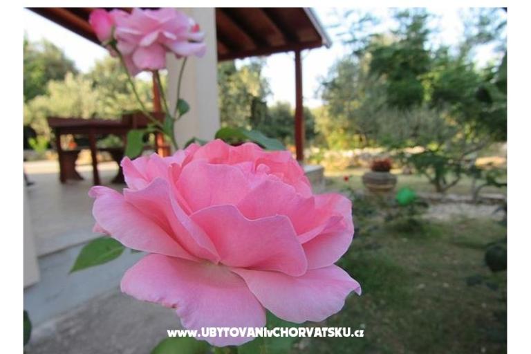 Kuća za odmor Dević – foto 2