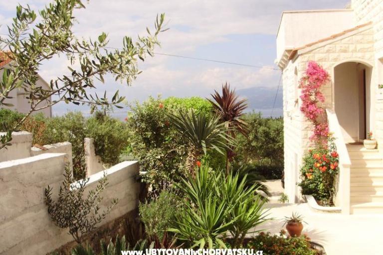 Apartmani Petranic – foto 16