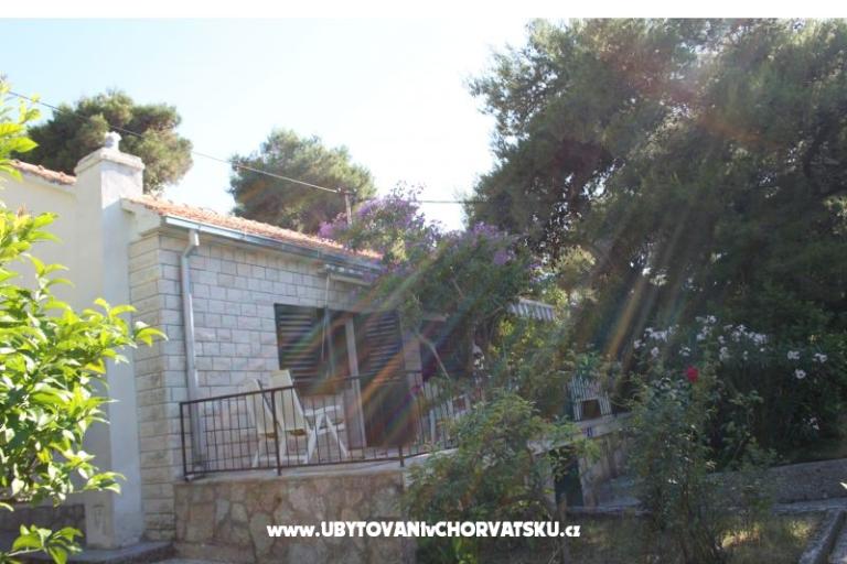 Villa Dragan – foto 2