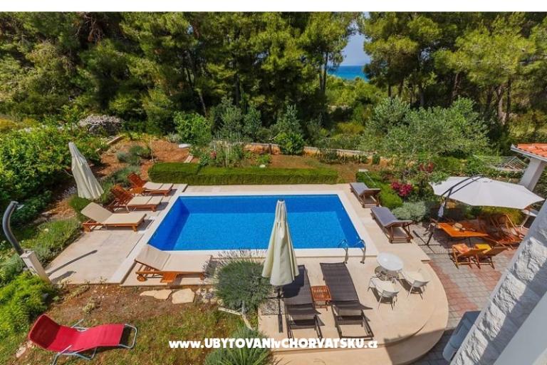 Villa Kamenica – foto 3