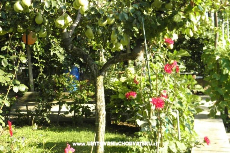 Apartmani Lucija – foto 16