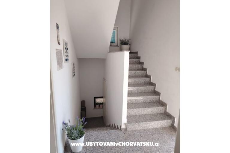 Apartmani Ciprijan i Bojka Matić – foto 30