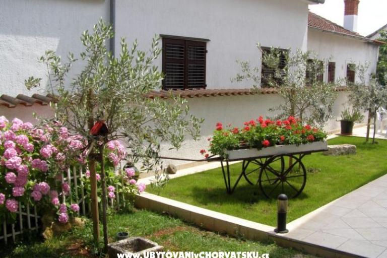 Apartmani Roviš – foto 7