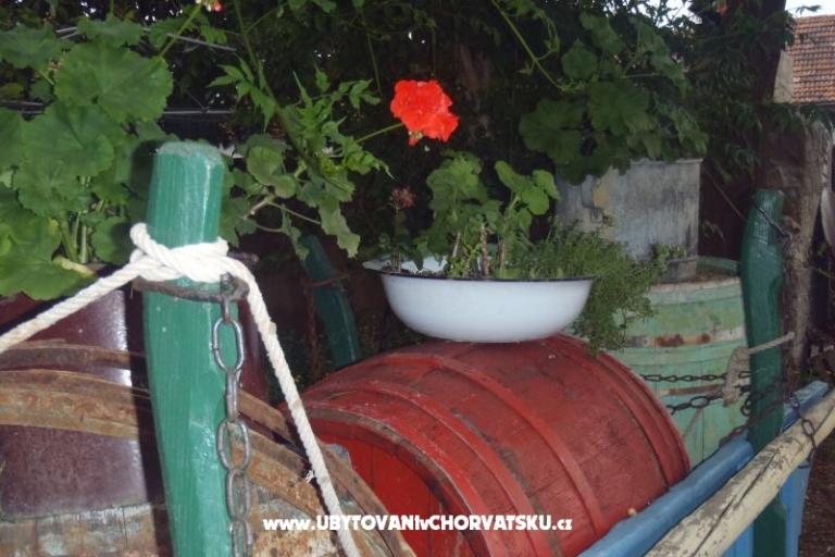 Apartmani Mara – foto 17