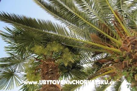 Apartman Antea – foto 17
