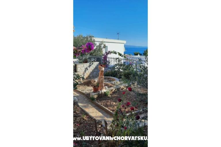Apartman Galeb – foto 16