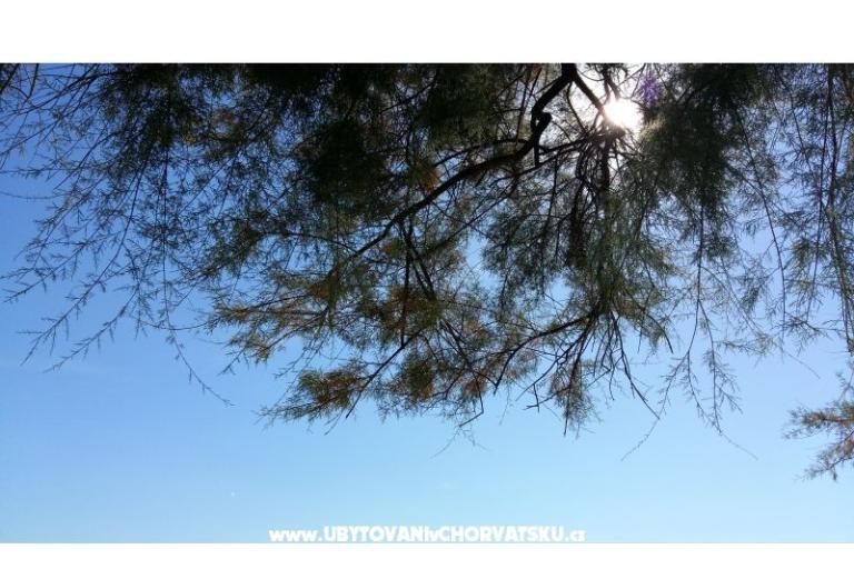 Apartman Rita – foto 8