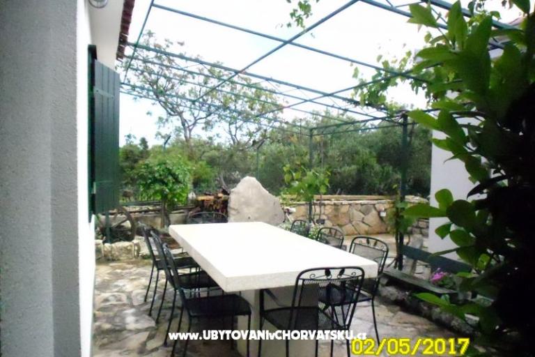 Apartman Tone – foto 6