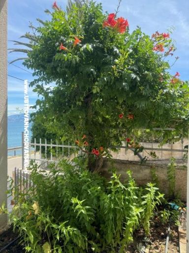 Apartmani Adria – foto 20