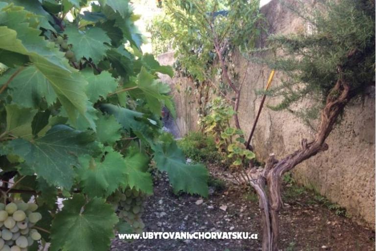 Apartmani Adria – foto 5