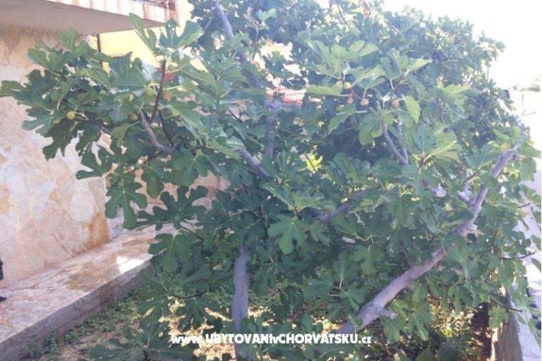 Apartmani Adria – foto 6