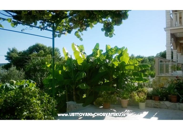 Apartmani Anka Marin – foto 8