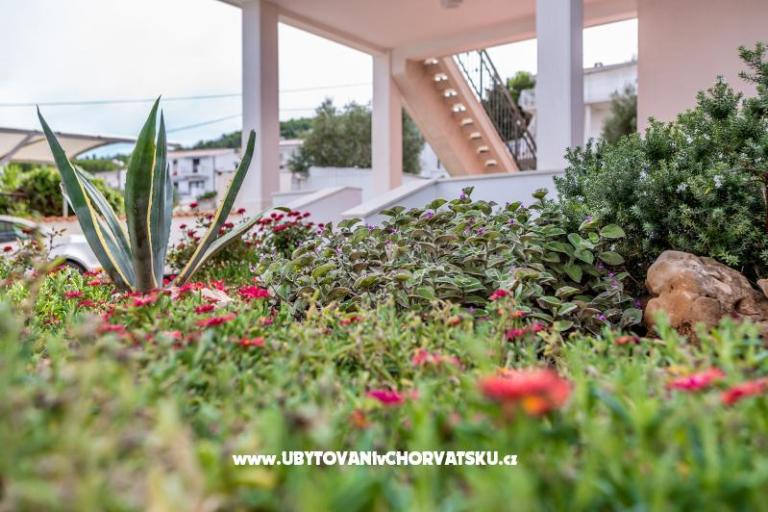 Apartmani Antonia – foto 6