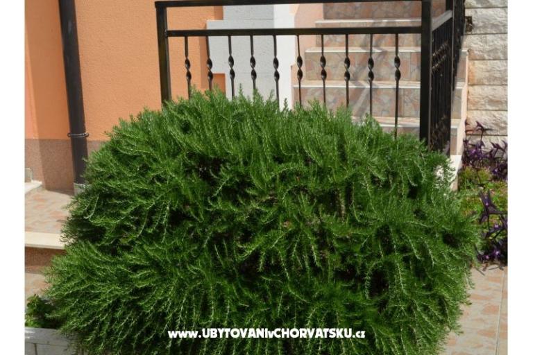 Apartmani Brksi  – foto 14