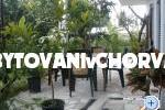 Apartmani Gardijan – foto 8