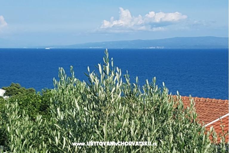 Apartmani Ivan Okrug Gornji – foto 21