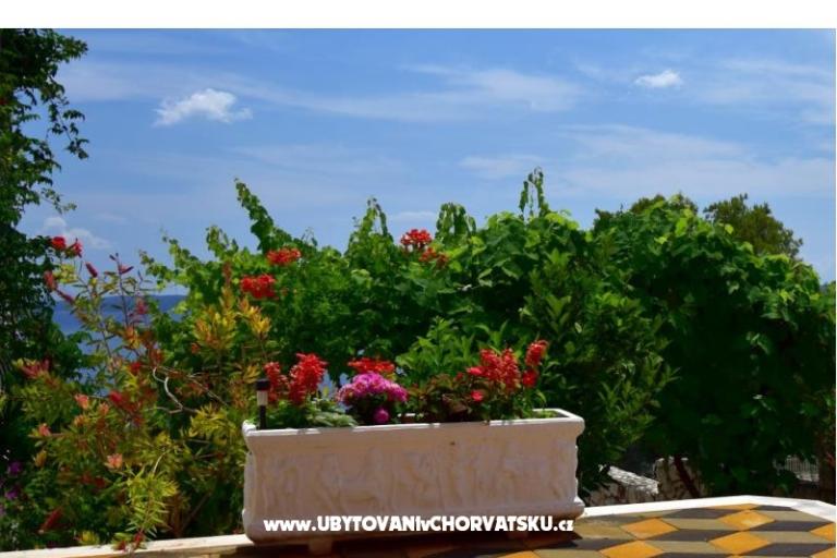 Apartmani Ivan Okrug Gornji – foto 6