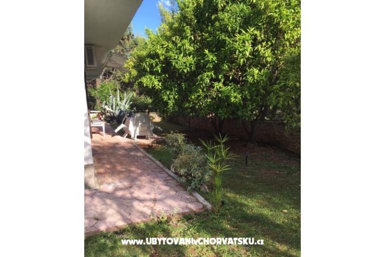 Apartmani Ivic – foto 4