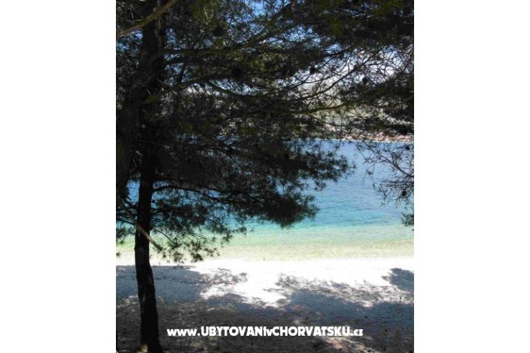 Apartmani Jelena – foto 17