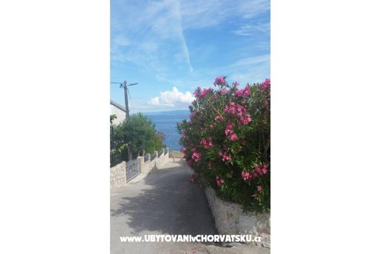 Apartmani Malic – foto 6