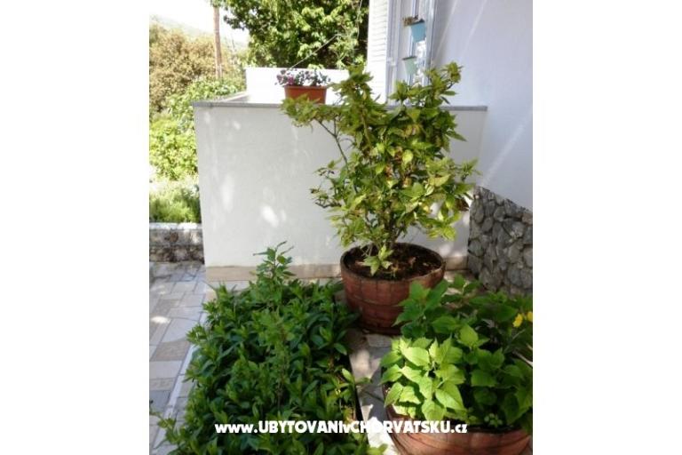 Apartmani Mare – foto 7