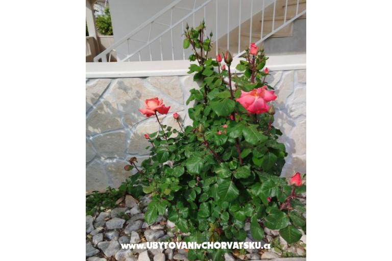 Apartmani Marin – foto 8