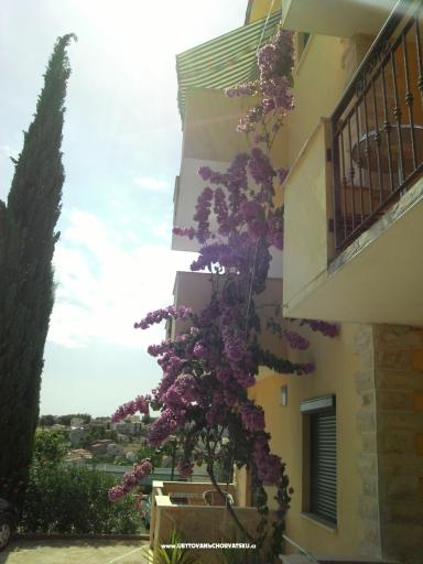 Apartmani Mia – foto 8