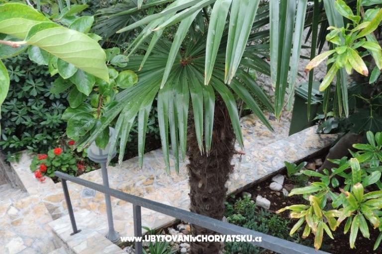 Apartmani Natasa – foto 16