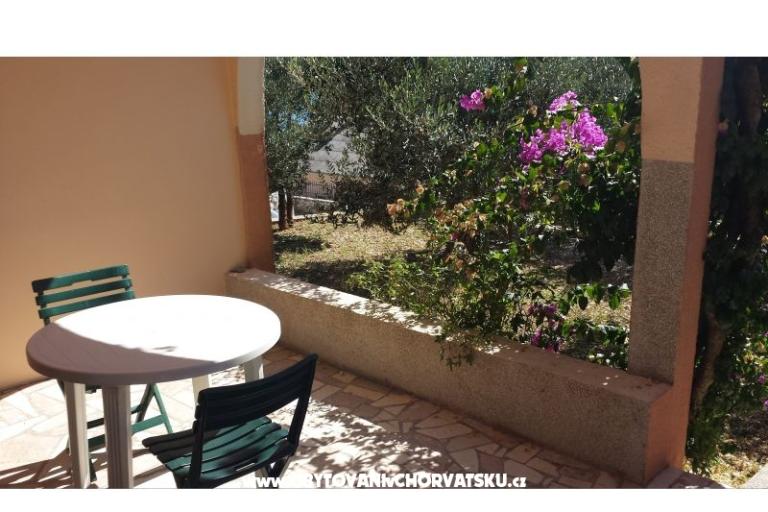 Apartmani Zizic – foto 10
