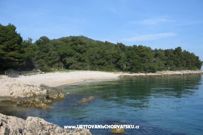 Apartmani Dominika – foto 6