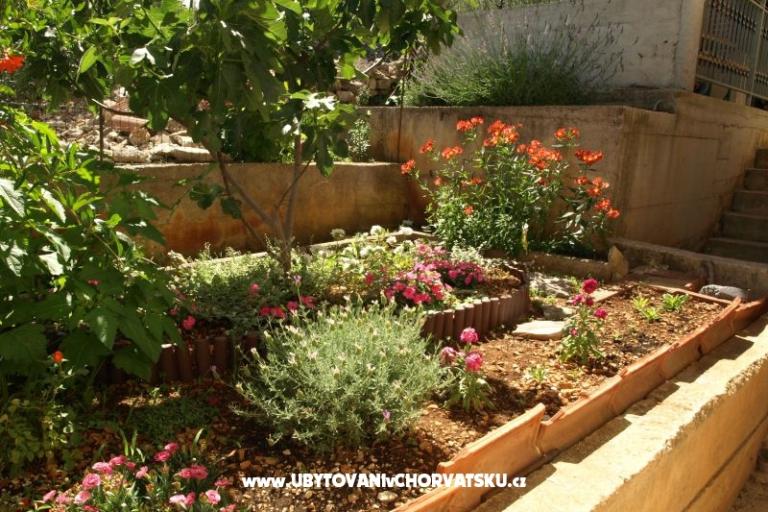 Apartmani Ljilja – foto 10