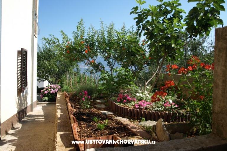 Apartmani Ljilja – foto 13