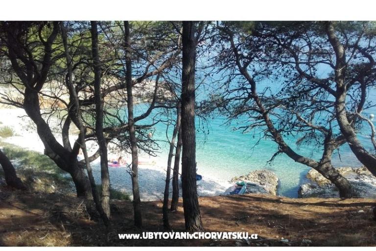 Apartmani Ljilja – foto 8