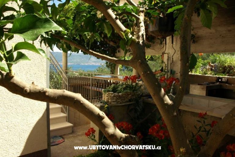 Apartmani Ljilja – foto 9