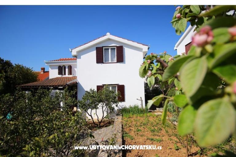 Apartmani NIKA – foto 4