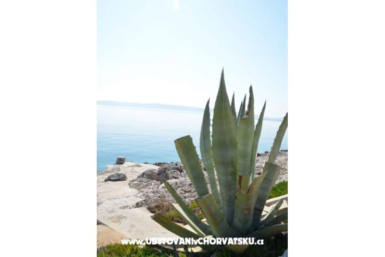 Apartmani Petar Milat – foto 9
