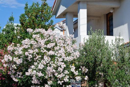 Apartmani Ruža – foto 2