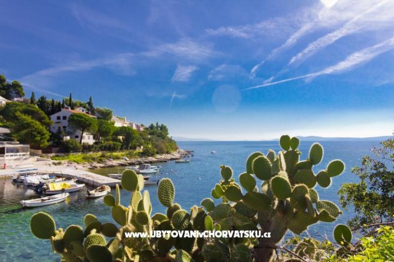 Apartmani ŠUKI – foto 5