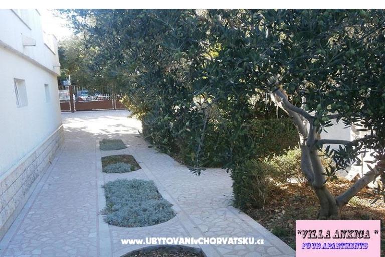 Apartmani Villa Ankica – foto 10