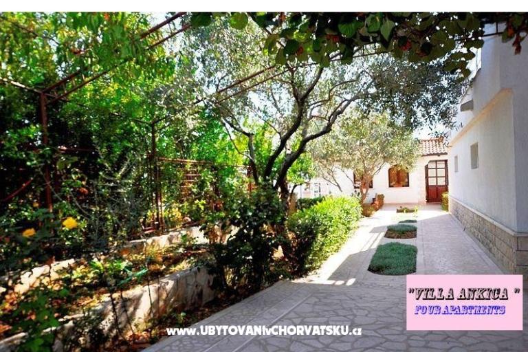 Apartmani Villa Ankica – foto 6