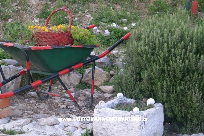 Carmen Apartmani – foto 15